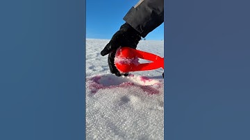 THIS is how you make a PERFECT snowball this WINTER or SUMMER #shorts
