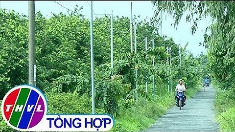 THVL |  Chung sức xây dựng nông thôn mới