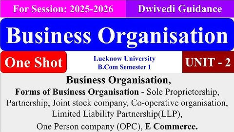 Business Organisation Chapter 2, Business Organisation B.Com 1st Year, Business Organisation lu bcom