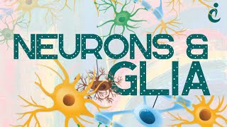 Mysteries of the Mind: Neurons and Glia in #Neuroscience 101!