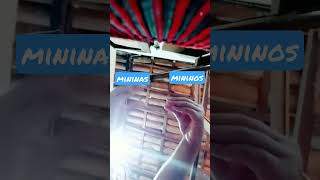 A Primeira Maravilha Com Disposição Desce Sobe Toma Rajadão