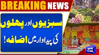 Major Crop Production Falls – What’s Behind the Decline? | Dunya News