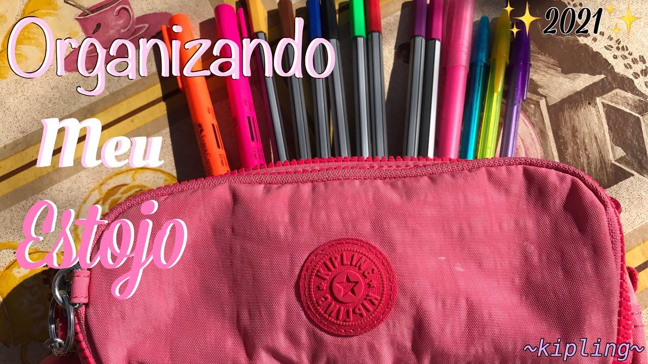 Organizando meu estojo ✏️📒 ((✨2021✨))