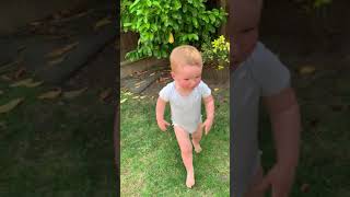 Bulldog crashes into little boy and he spins on the back of dog