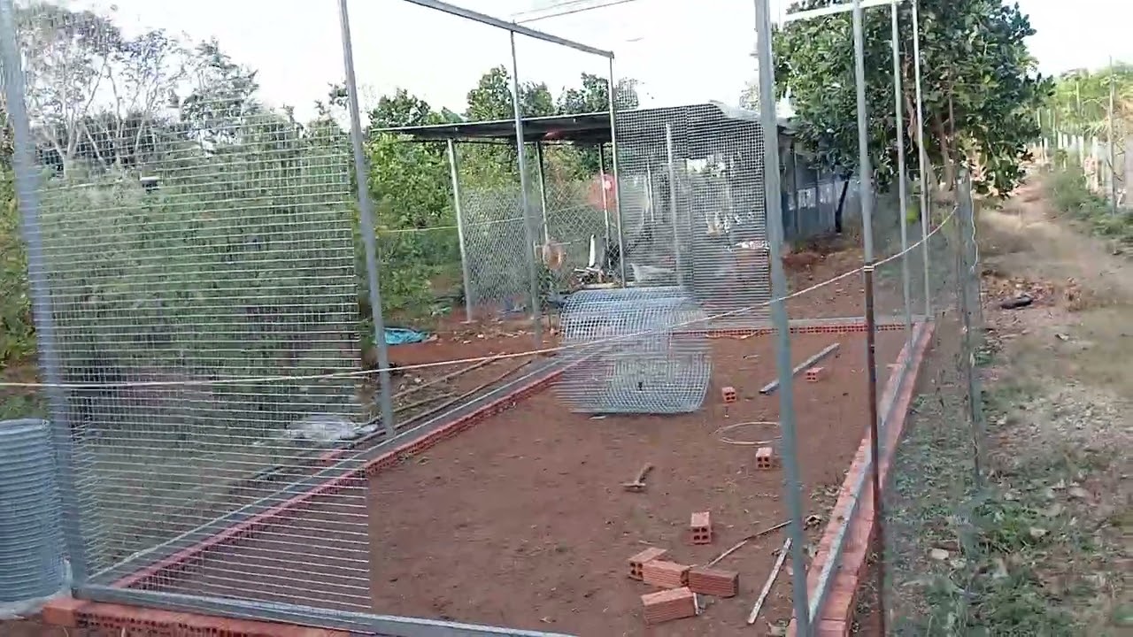 Avi mới của trại 