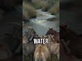 Rivers: Nature's Uphill Architects
