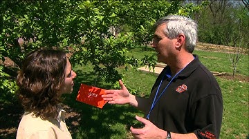 Integrated Pest Management: Monitoring