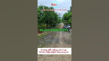 9 công đất ruộng,tân hiệp,thạnh hóa,Long an.giá:110tr/ công