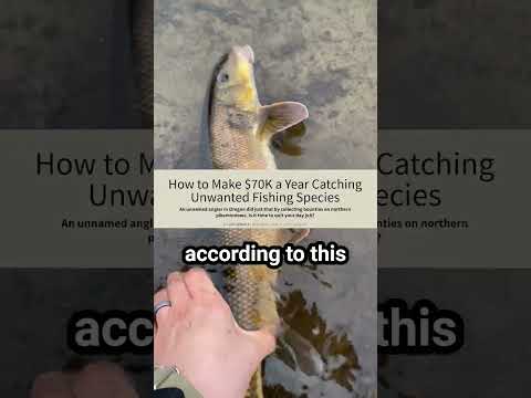 Videó: Horgászhat a Heckscher Állami Parkban?