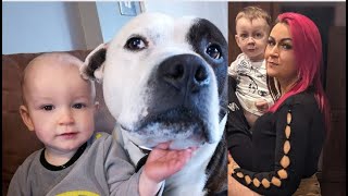 Dog attack: Mother&#39;s warning to parents after &#39;all of toddler son&#39;s nose ripped&#39; from single bite