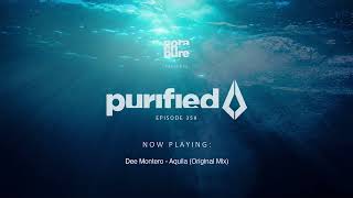 Purified Radio 359