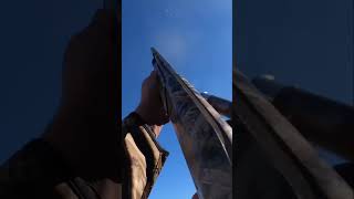 SHOT THIS GOOSE BEHIND A TREE ! #shorts #goosehunting #duckhunting #hunting #geesehunting