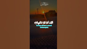 سورة التين وآيات من سورة العلق ,,#اكسبلور #الرحمن #القرآن_الكريم
