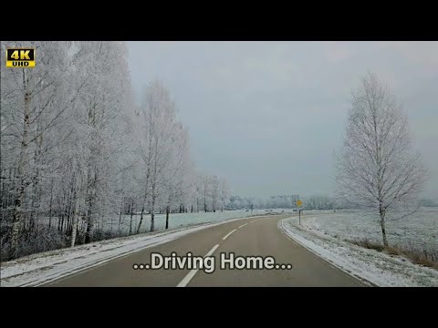 Where they go. Where they go