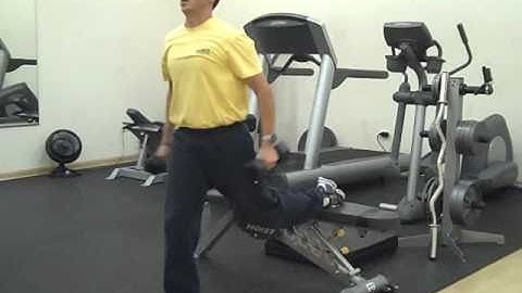 Dumbbell split squats with curls