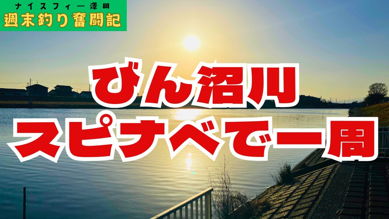 冬のびん沼川をスピナベだけ持って一周する！