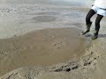 Little girl plays in quicksand