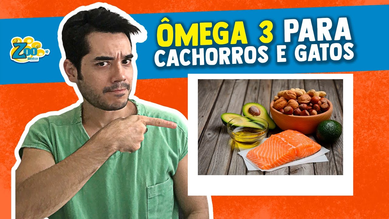 ÔMEGA 3 PARA CACHORROS E GATOS. Vale a pena dar? Entenda o que é e todos os seus ótimos