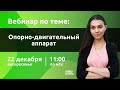 НШ | Биология. Опорно-двигательный аппарат.