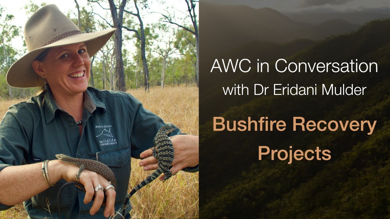 AWC in Conversation with Dr Eridani Mulder: Bushfire recovery projects (S1E1)
