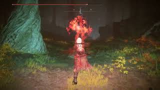 Elden Ring NG+4 Shadow of the Erdtree Winter Lantern paryy nr 01 Abyssal Woods
