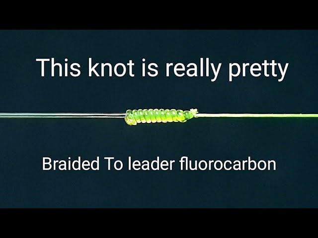 Braided To fluorocarbon leader shock