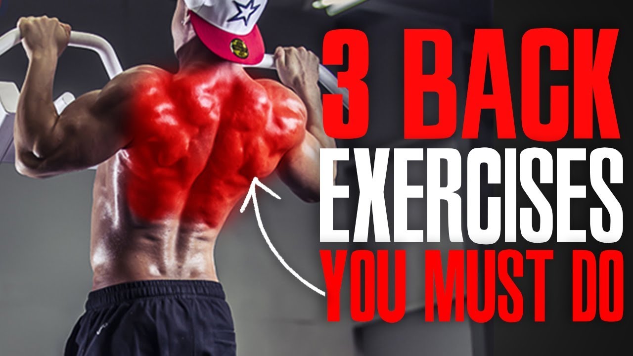 MUST DO EXERCISES BACK YouTube