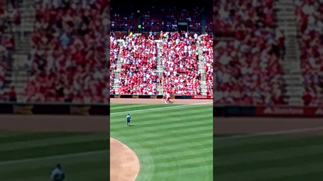 Cardinal Baseball Game YouTube