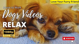 10 HOURS of Deep Separation Anxiety Music for Dog Relaxation! Beautiful Dogs & Piano Music