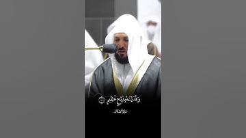 من روائع القارئ الشيخ ماهر المعيقلي ❤️ تلاوة خاشعة