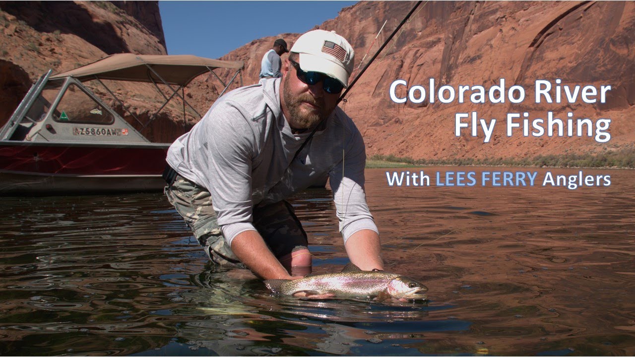 Colorado River Fly Fishing with LEES FERRY Anglers Summer 2022 YouTube