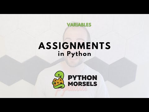 Assigning a variable in Python