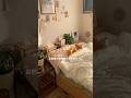 お部屋の模様替えをする休日vlog⸜🌷︎⸝ #shorts #vlog #あつ森 #模様替え #room