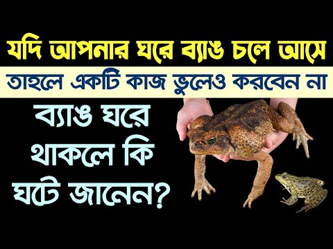 ভিডিও: ভিডিওতে মোয়ারের কারণ কী?