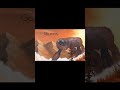 Weezer - Go Away (Lyric Video)