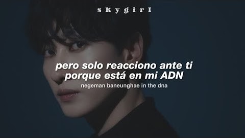 SUPER JUNIOR – D.N.A. (sub español)