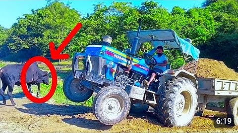 Jcb 3dx Backhoe Loader loading mud in Sonalika DI RxR 52 || Powertrack Euro 50 tractor