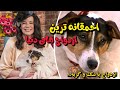 عجیب ترین ازدواج های دنیا ازدواج با گربه و سگ mp3