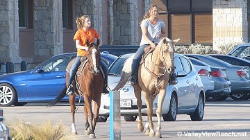 Sirius Sun CN and Peptos Playin CD - riding In town! - ValleyViewRanch.net