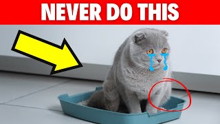 NEVER Do This When You Leave Your Cat Alone #cat #catbreed #catvideos #catlovers #pets #pet by Geographic Animalz 1,146 views 5 months ago 2 minutes, 21 seconds