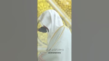تلاوة مميزة من فجريات الشيخ #عبدالمحسن_القاسم