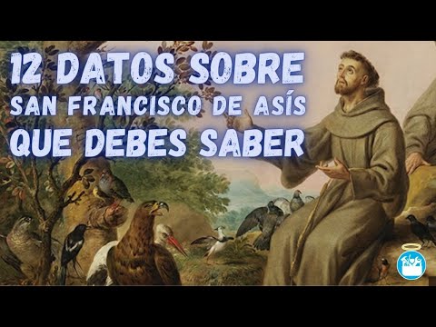 Video: Catedral de San Francisco Javier descripción y fotos - Bielorrusia: Grodno