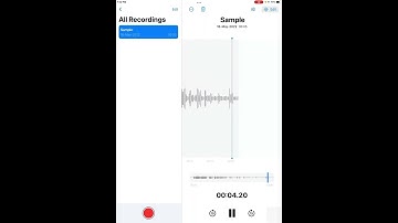 How To Remove Background Noise From Your Videos Using iPad / iPhone | ST