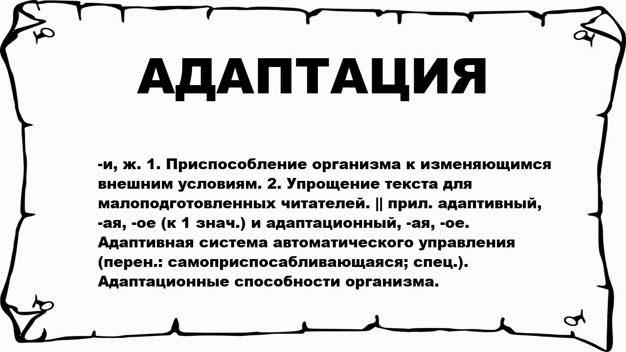 Синоним слова адаптация. Значение адаптации. Адаптация к внешним условиям. Адаптация слово. Адаптация значение слова.