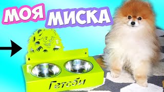 Миска моей собаки |Самая удобная подставка Миска моей собаки |Самая удобная подставка