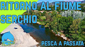 Dove pescare in Serchio?