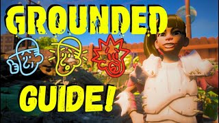 Celebrity GROUNDED GUIDE | Difficulty Levels Profile