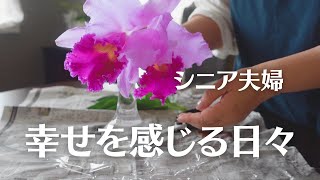 【女子会ランチ】元町/須磨離宮公園/オフ会再会/芍薬/シニアvlog