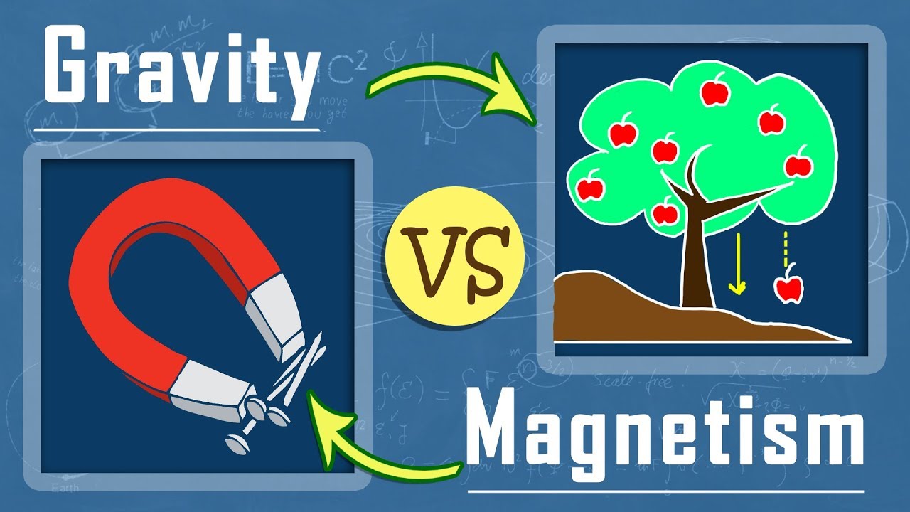 Munk kompression begå What is the Difference Between Gravity and Magnetism | Electro Magnetism |  Physics - YouTube