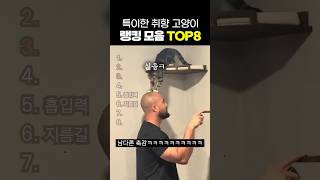 역대급 특이한 취향을 가진 고양이 TOP8